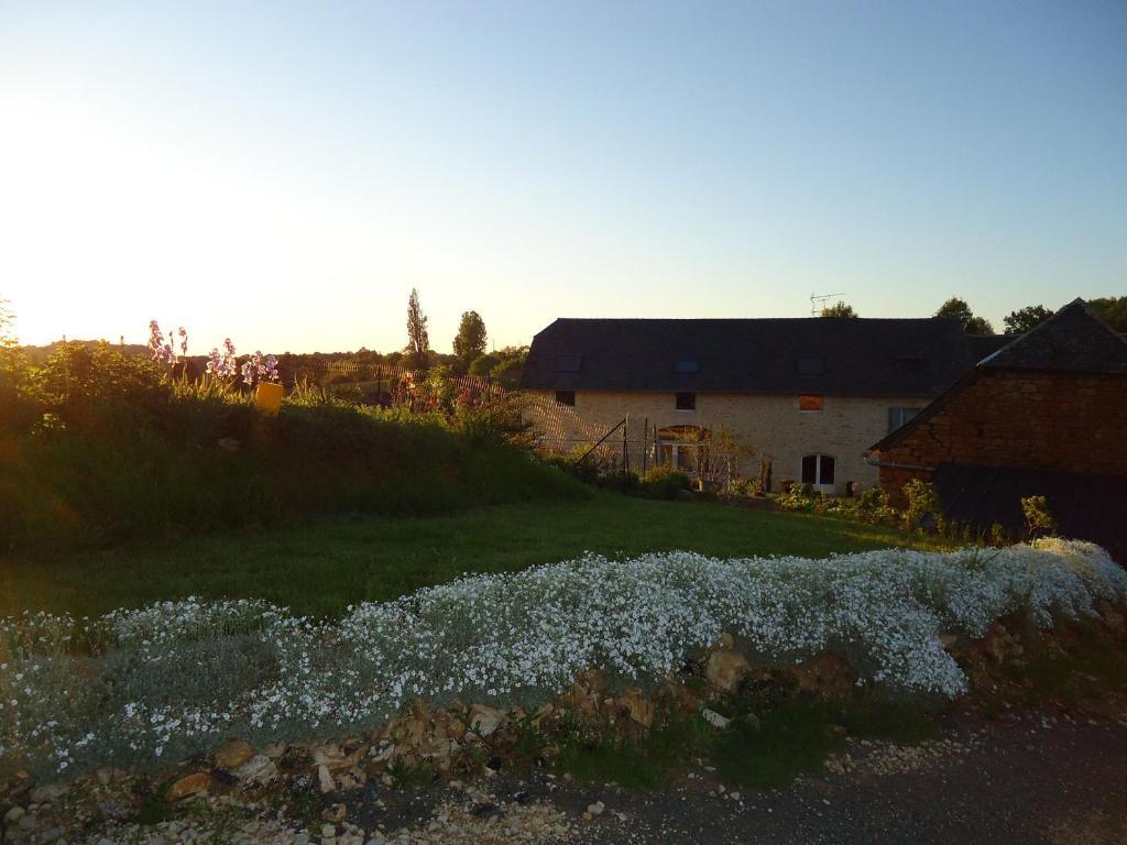 Maison D'Hotes La Maison De Leopold Terrasson Exteriör bild