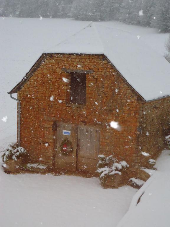 Maison D'Hotes La Maison De Leopold Terrasson Exteriör bild